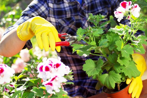 Local lawn care service for Thorntonheath residential gardens
