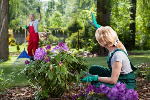 Planting services in Thorntonheath for a front garden border