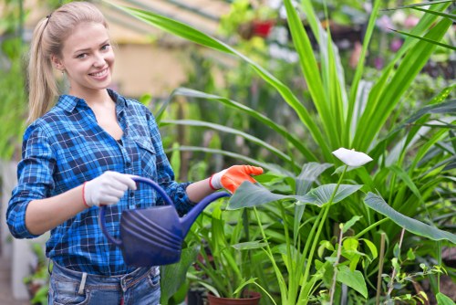 Garden maintenance work in a Thorntonheath residential garden