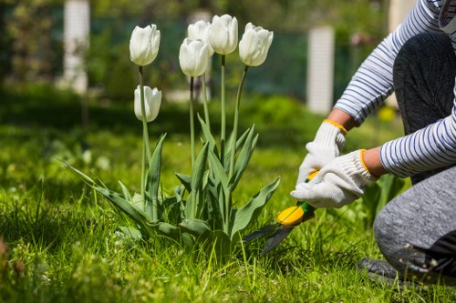 Local hedge maintenance for a Thorntonheath business frontage