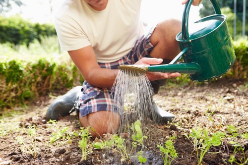 Low-maintenance planting design suitable for Thorntonheath properties