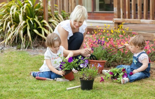 Healthy garden lawn maintenance in Thorntonheath during summer