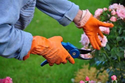 Regular lawn care for a Thorntonheath home with tidy borders
