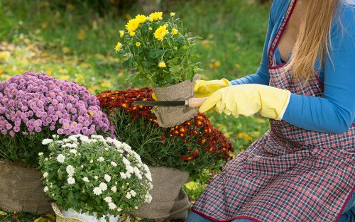 Colourful flower bed design suited to Thornton Heath homes and businesses