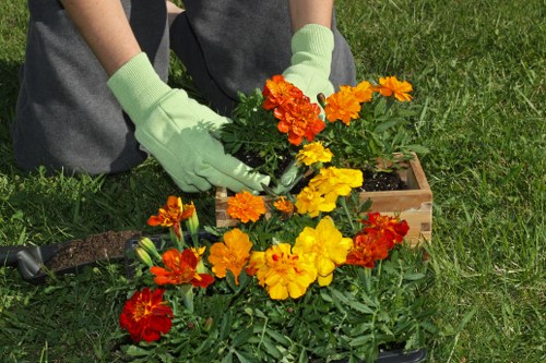 Garden waste collection pricing for a Thornton Heath terraced property
