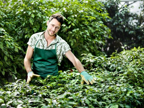Ongoing commitment to preventing modern slavery in landscaping services