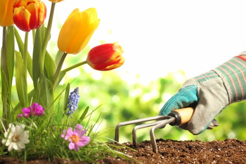 Detailed garden landscaping work with paving and planting in Thornton Heath