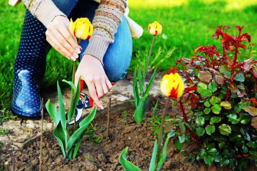 Local landscape gardening service planning a residential garden layout in Thorntonheath