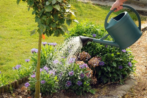 Professional grass cutting service for Thorntonheath residential and commercial properties