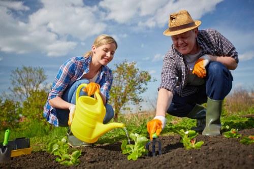 Local lawn mowing service trimming a residential garden in Thorntonheath