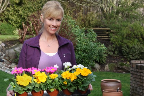 Professional Thorntonheath landscaping with planting and pathways