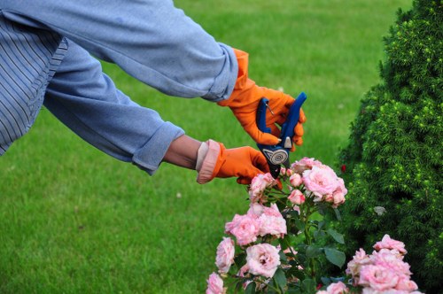 Manager assessing a landscaping complaint and evidence