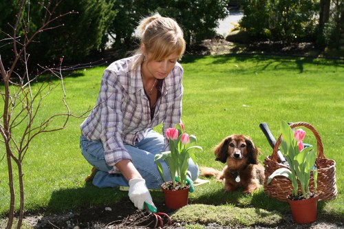Accepted payment methods for landscaping services