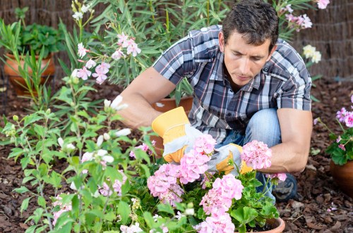 Garden design by Thorntonheath landscapers with structured beds